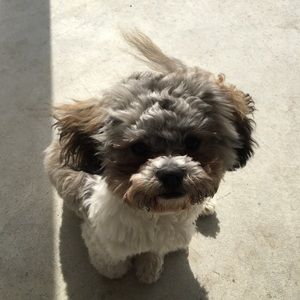 Meet your Posher, Brenda